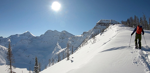 A man ski touring in the Waterton Park backcountry on a sunny day in winter. Photo by Tanner Rodgers.